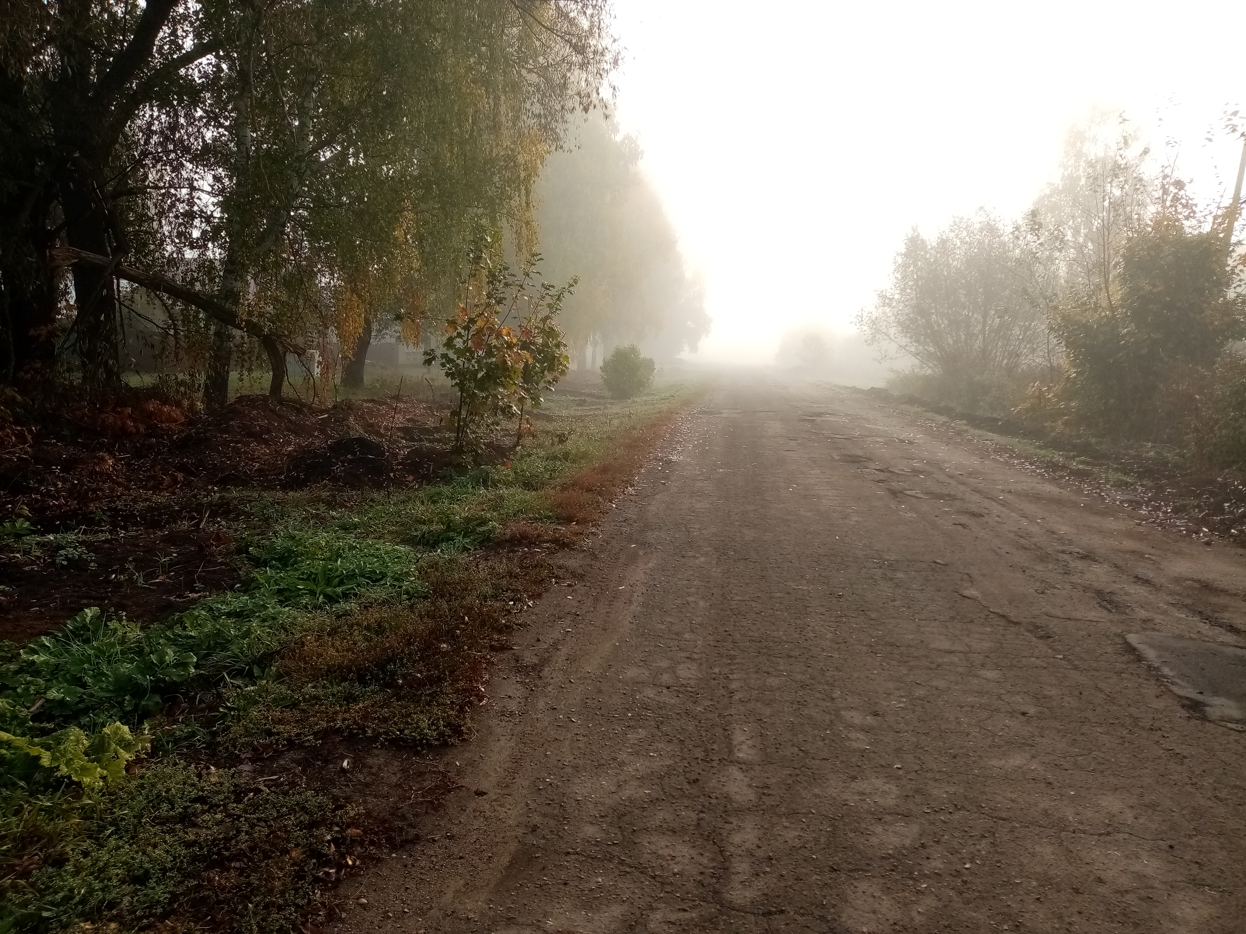 Замена водопроводных сетей по ул.Мира в с.Большая Аря