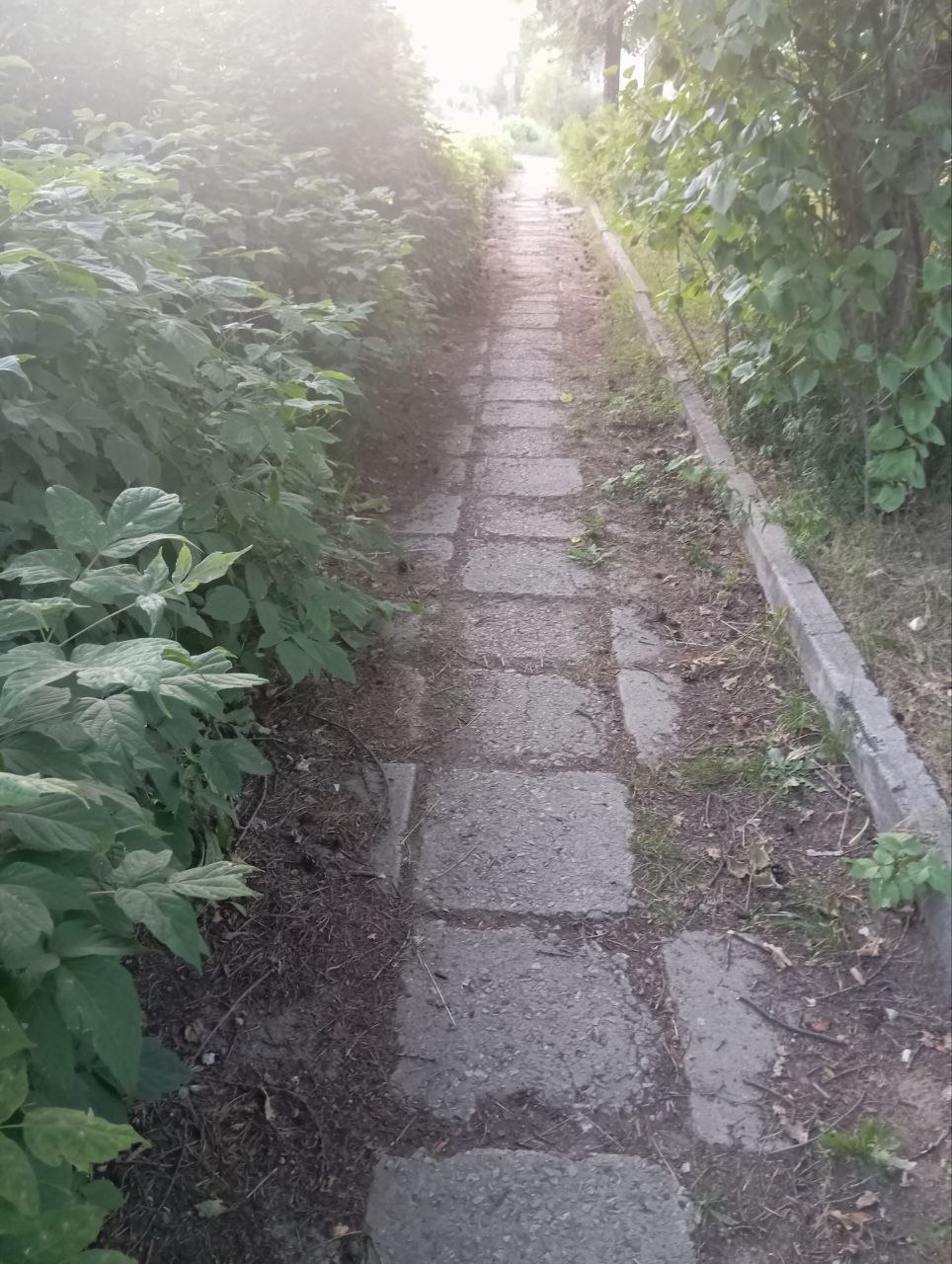 Ремонт тротуаров в микрорайоне "Северный" города Городца Городецкого муниципального округа Нижегородской области