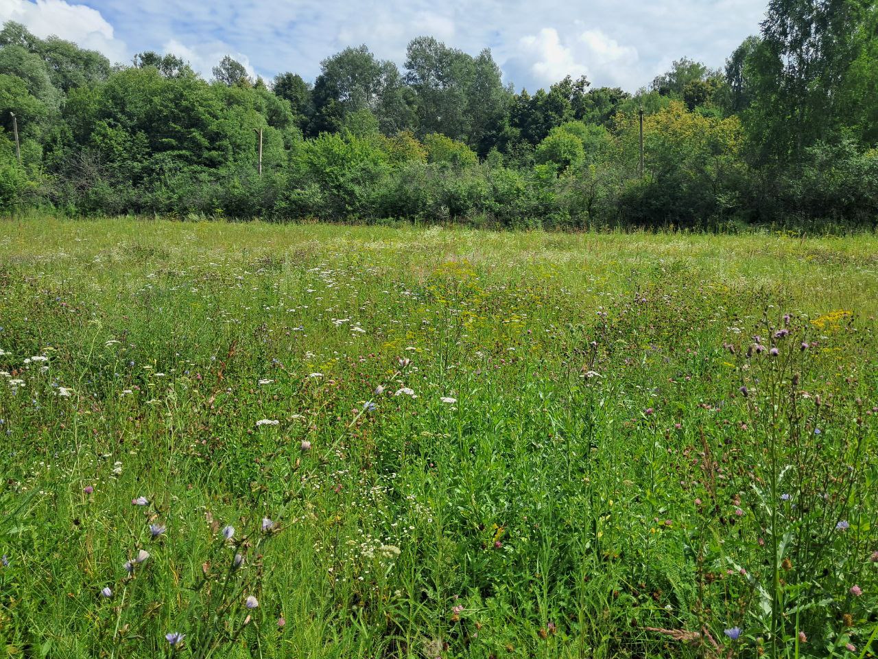 Установка спортивной площадки около д. 4 по ул. Ветеранов в с. Покров Княгининского муниципального округа Нижегородской области