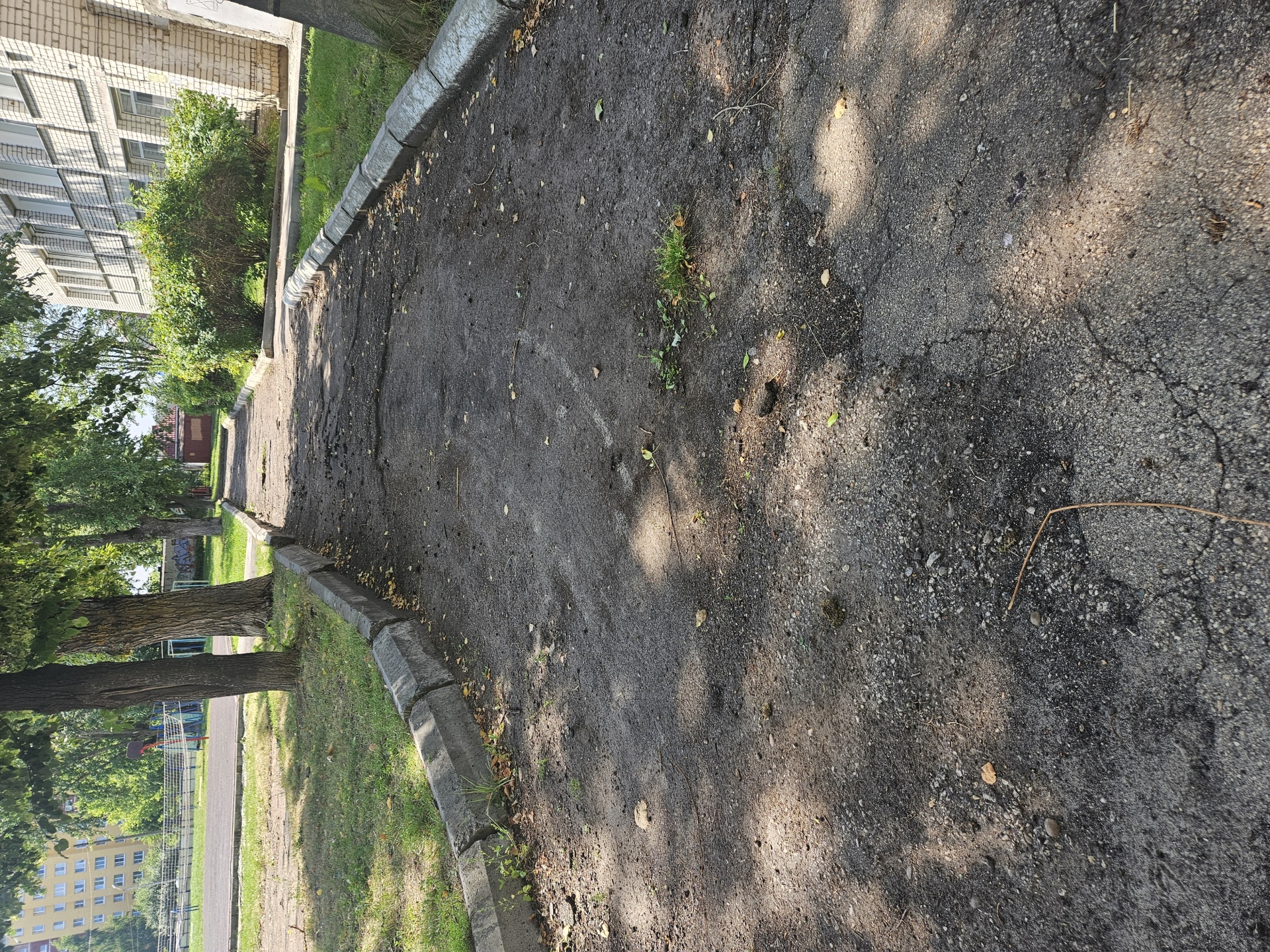 Благоустройство территории МБОУ "Лицей" по адресу Нижегородская область, г.Арзамас, ул.Пушкина, д.138/1(2 этап)