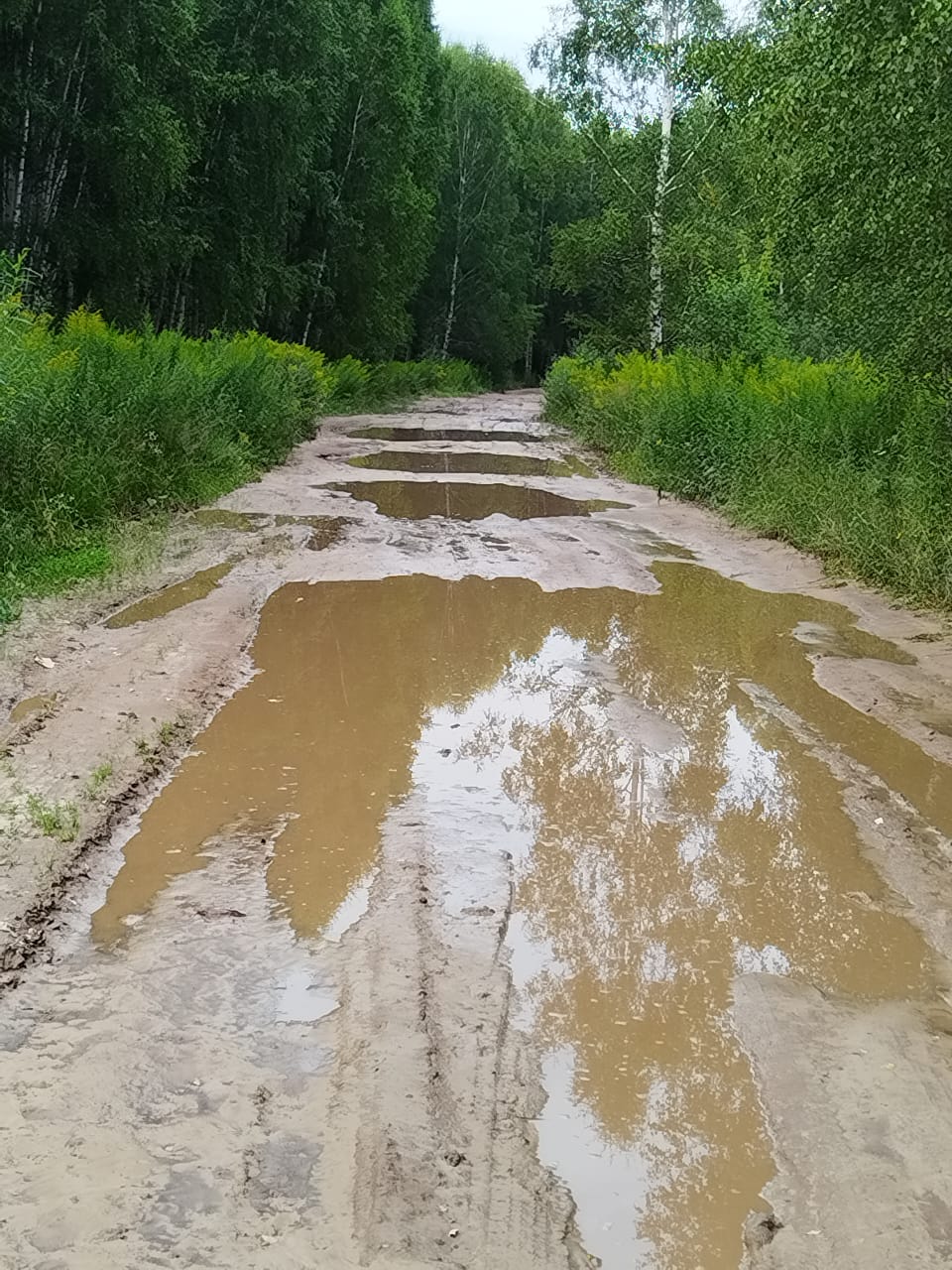 Ремонт участка автомобильной дороги подъезд к д.Свободное от дороги Бор –с.Развилье Краснослободского с/с г.Бор Нижегородской области (км 1+800 – км 3+500)