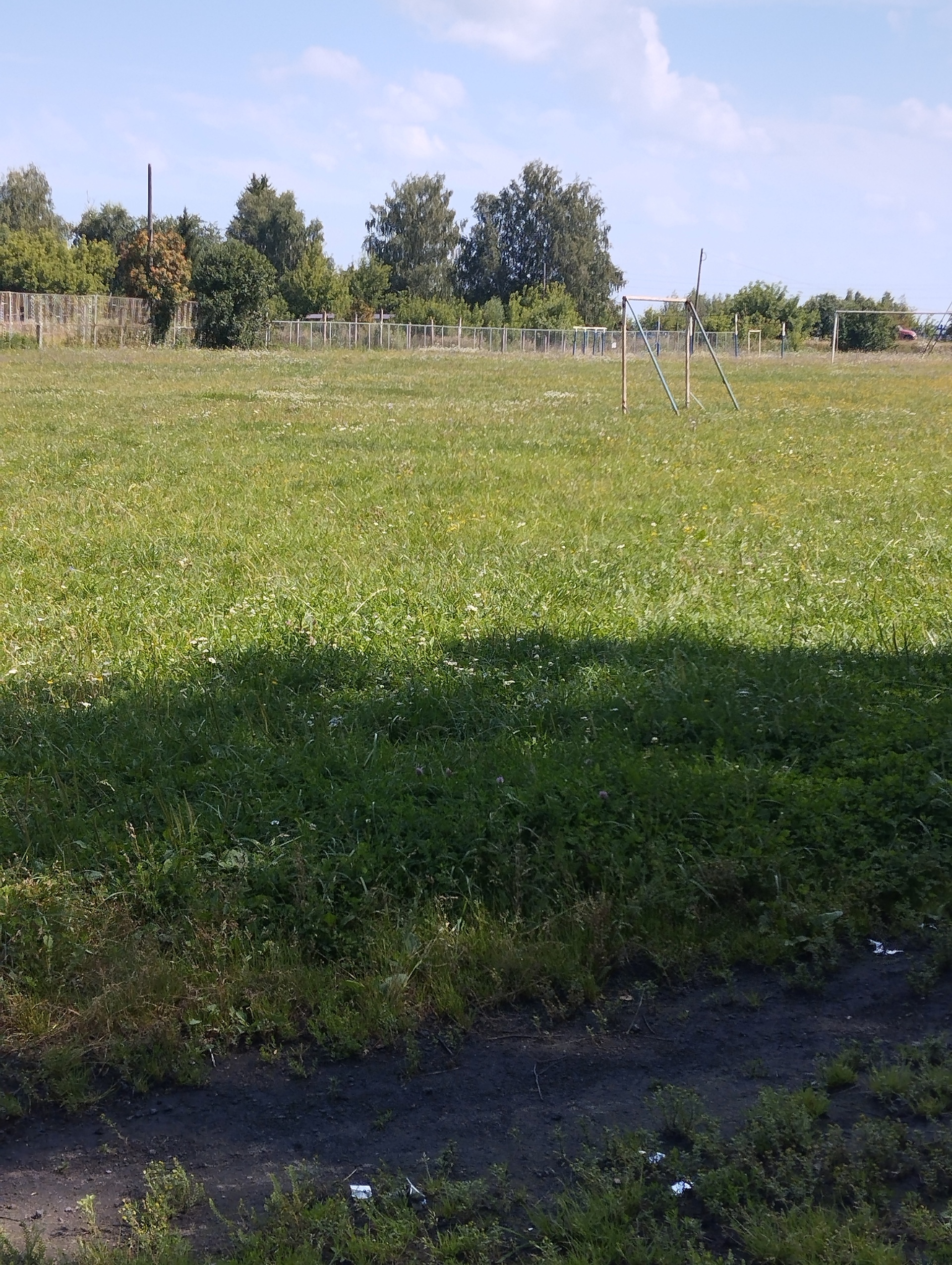 Благоустройство пришкольного стадиона МБОУ "Абрамовская СШ им.А.И.Плотникова"