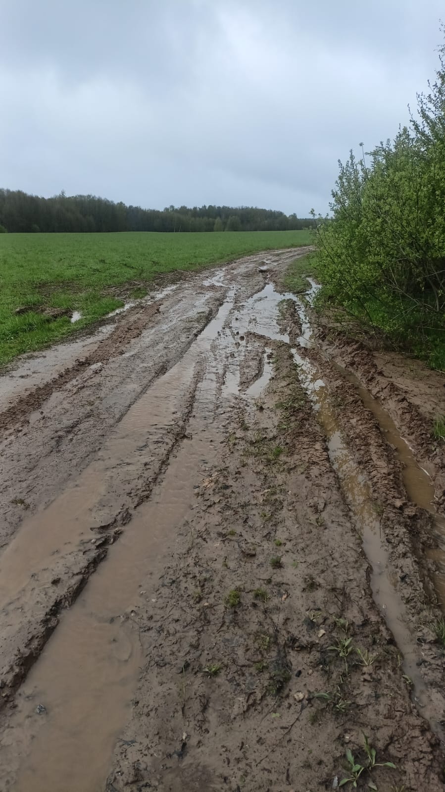 Ремонт участка дороги в д.Черенино муниципальный округ город Чкаловск Нижегородской области