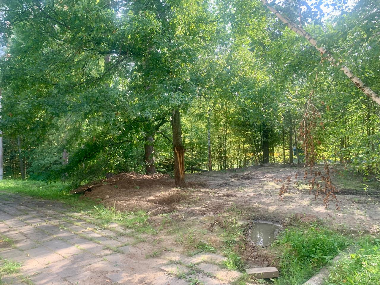 Устройство культурно-досуговой площадки на территории МБУ ДО ДООЦ «Водопрь» для детей и молодежи