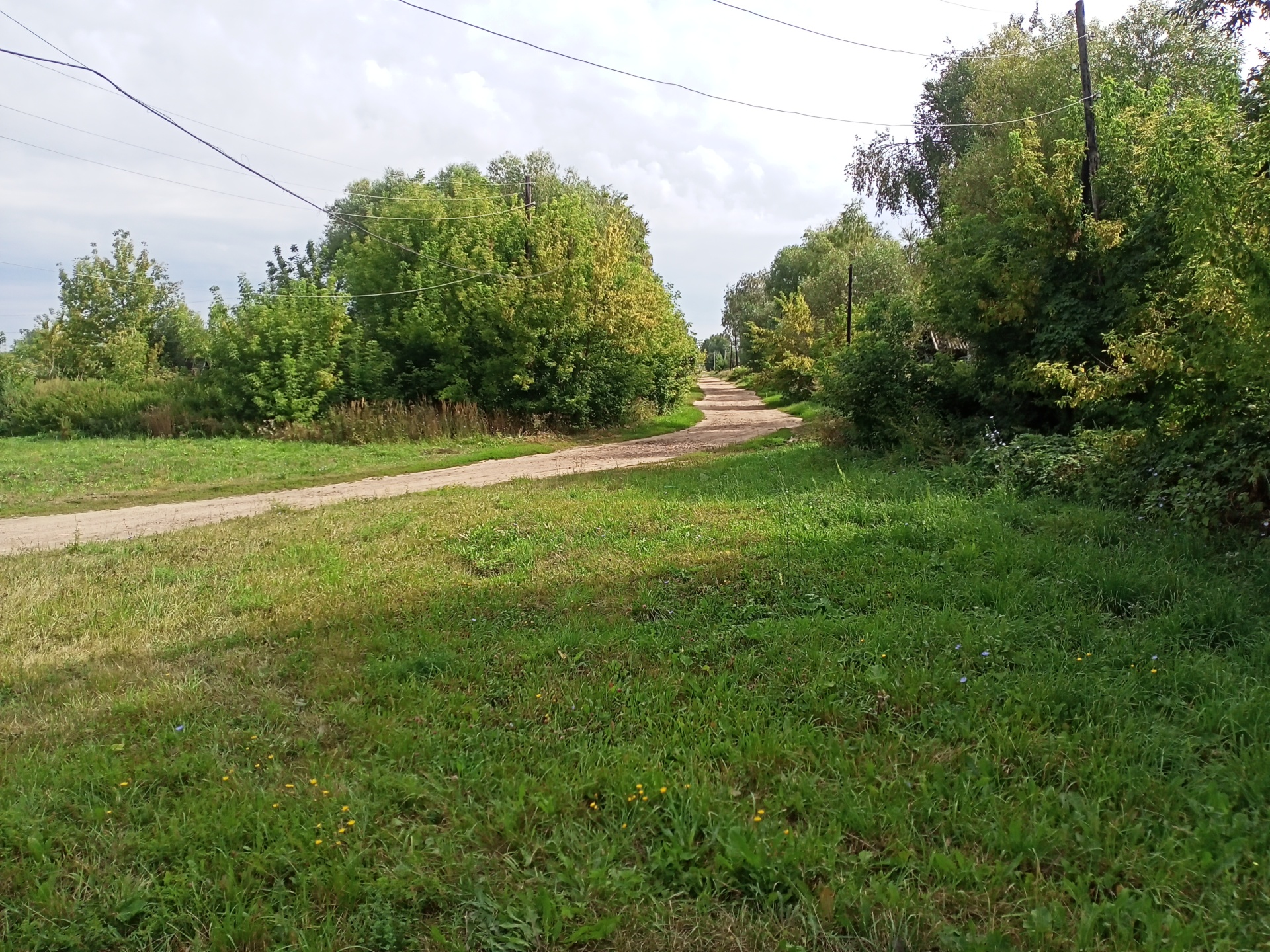 Ремонт дороги местного значения по ул.Советская с.Василевка Починковского муниципального округа