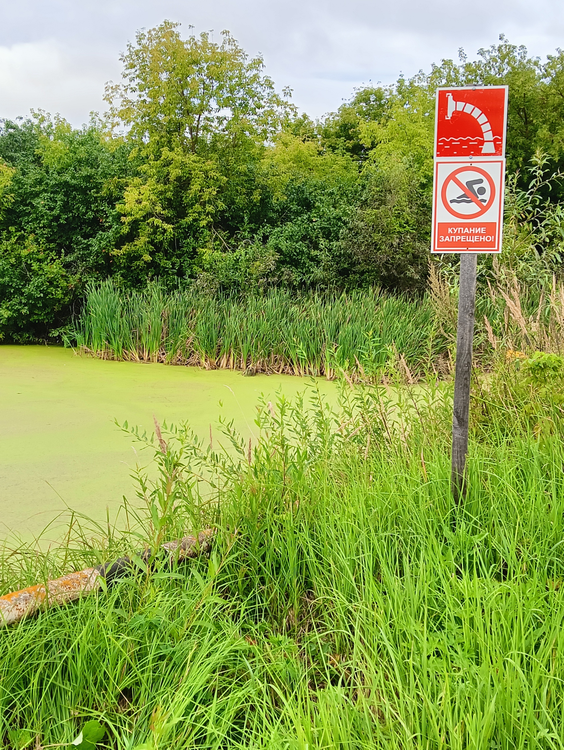 Очистка противопожарного водоема (пруда) с.Давыдково, ул.Воронина