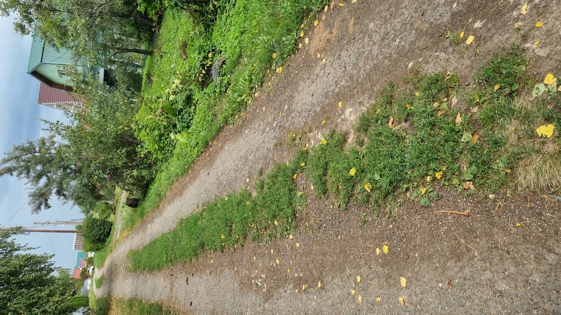 Ремонт автомобильной дороги ул.Пойменная д.Пальцино Богородского муниципального округа Нижегородской области с устройством асфальтобетонного покрытия