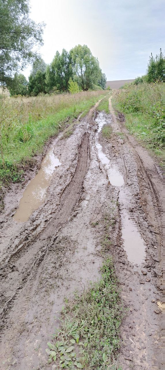 Ремонт автомобильной дороги общего пользования местного значения от ул. Вилкова д.61а до кладбища в с. Лопатино Лукояновского муниципального округа Нижегородской области