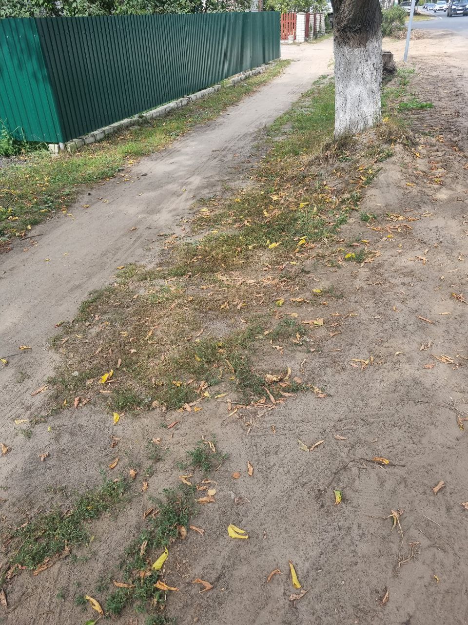 Благоустройство территории от д.56 до д.96 по ул.Трудовая г.Навашино Нижегородской области