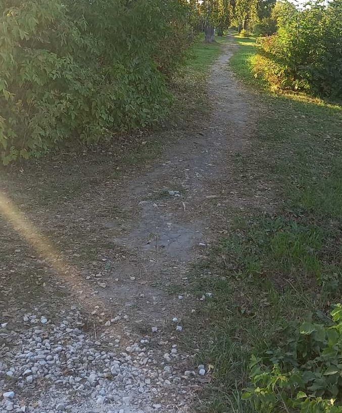 Ремонт тротуара по ул.Больничная в р.п.Вача от дома №18 до поворота на ул.Полевая