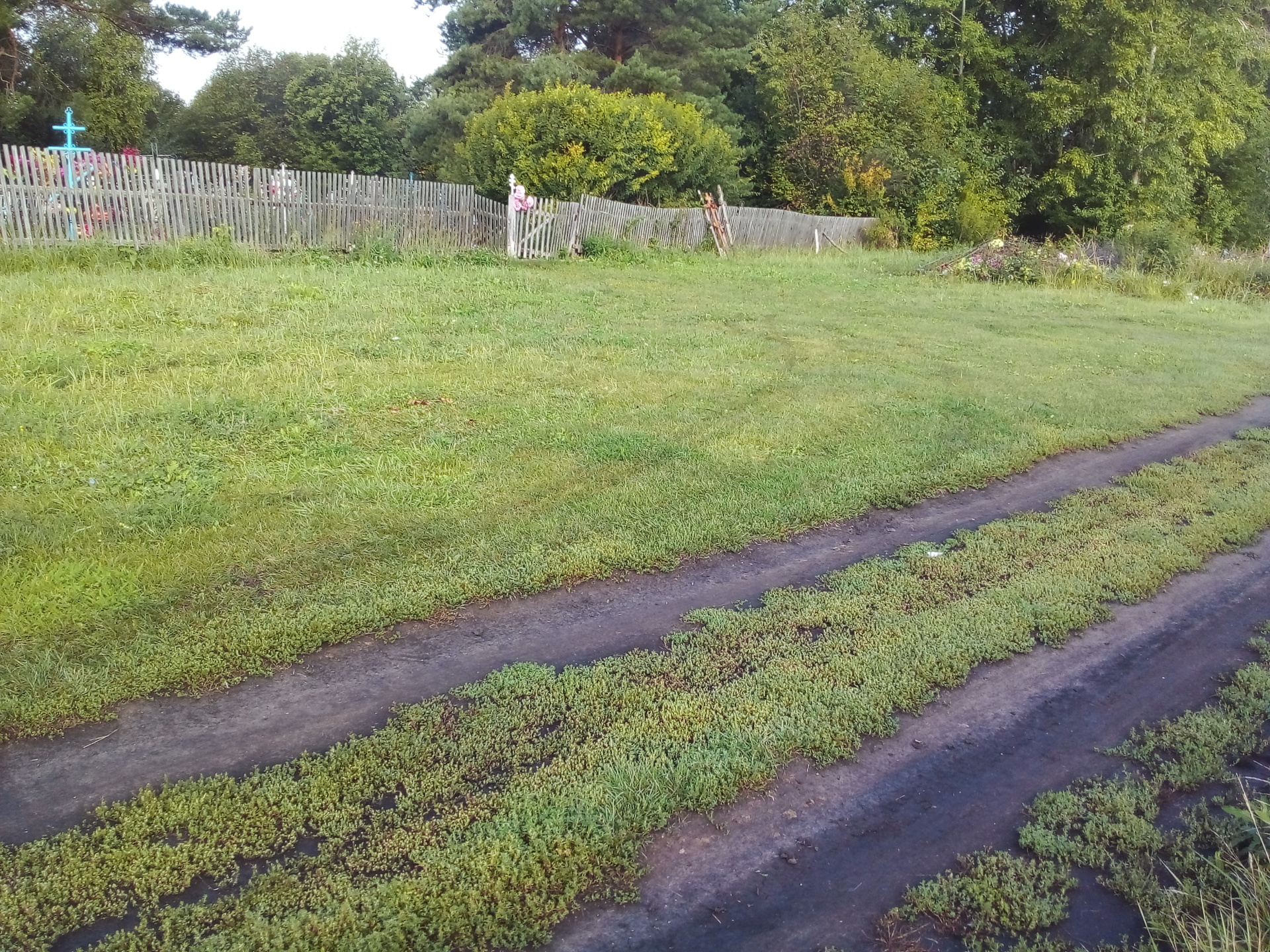 Ремонт дороги подъезд к кладбищу в с Богатиловка Сеченовского муниципального округа Нижегородской области