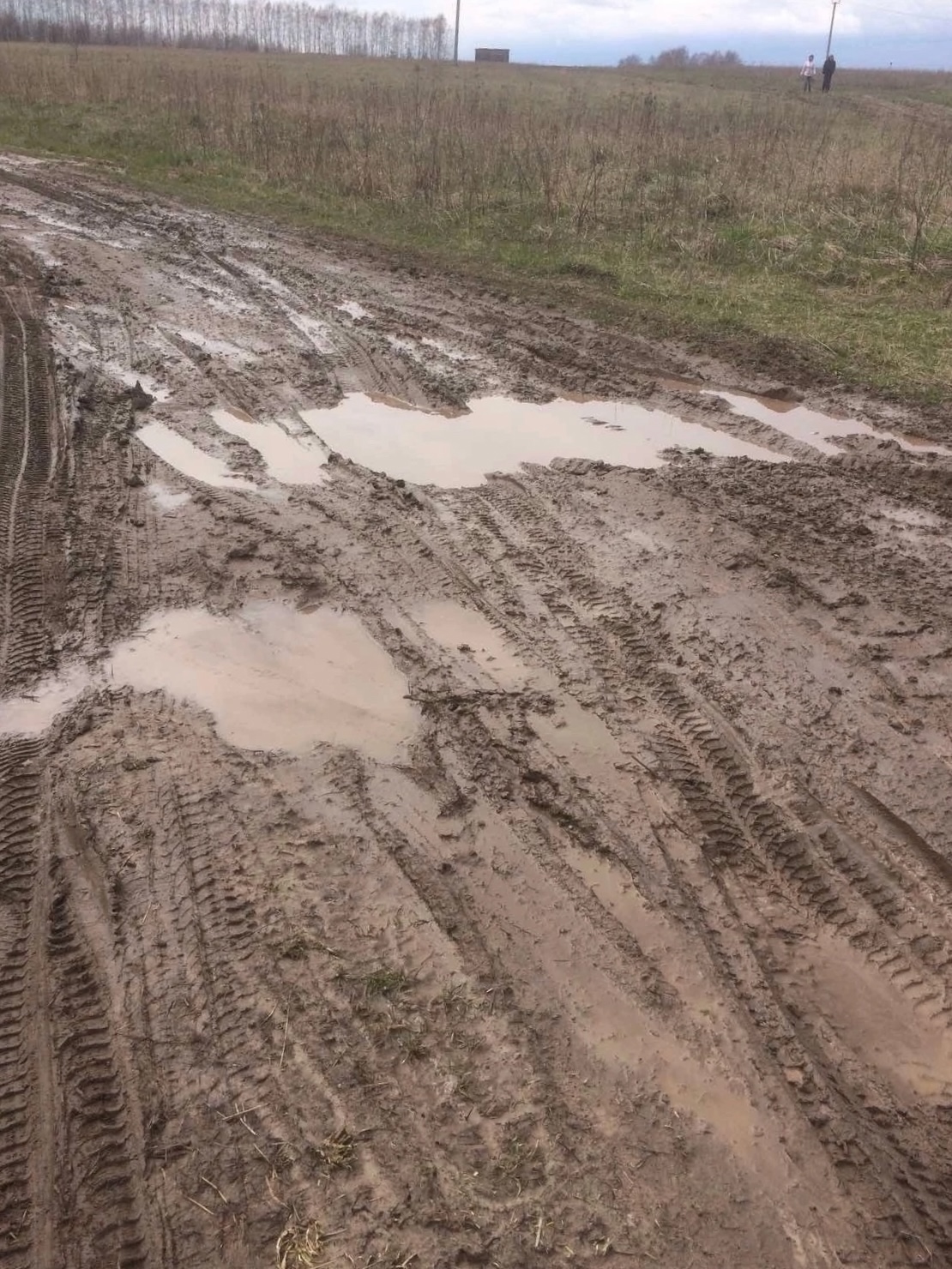 Ремонт  участков дорог с устройством щебеночного покрытия: подъезд к д. Шарголи (км. 0+000 — 0+580), по ул. Полевая (км. 0+000 - 0+350) в д. Шарголи  Богородского муниципального округа Нижегородской области