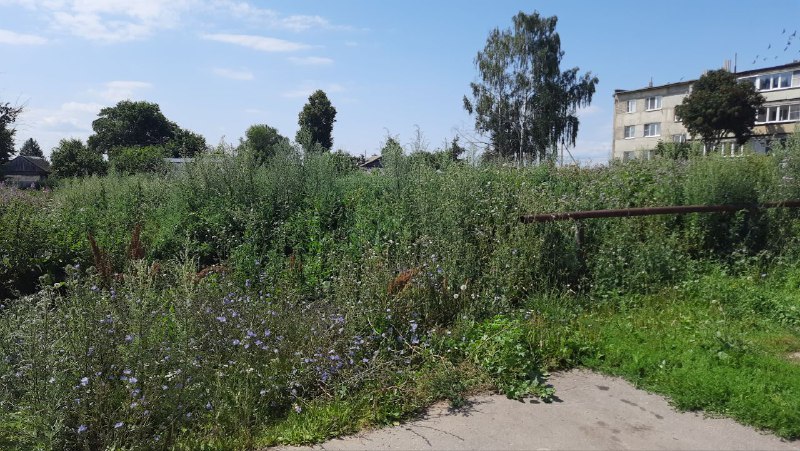 Устройство детско-спортивной площадки в с.Леньково Лысковского муниципального округа Нижегородской области