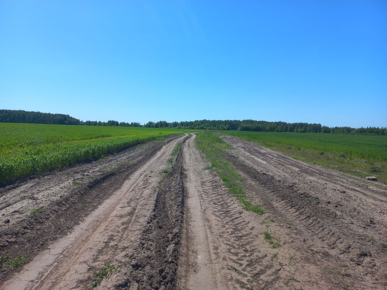 Ремонт части дороги в щебеночном исполнении до села Чистое Поле Лысковского муниципального округа Нижегородской области