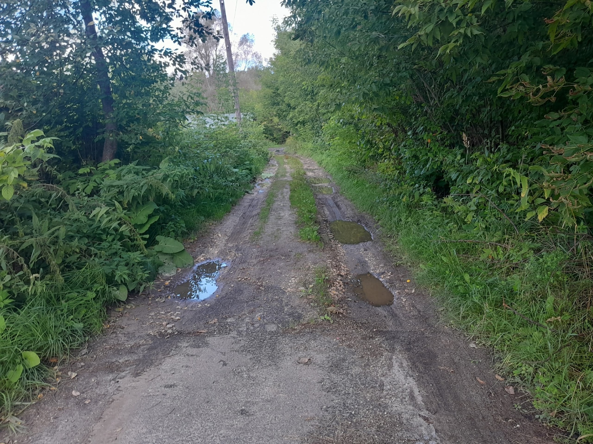 Ремонт дорог местного значения с.Владимирское Воскресенского муниципального округа Нижегородской области