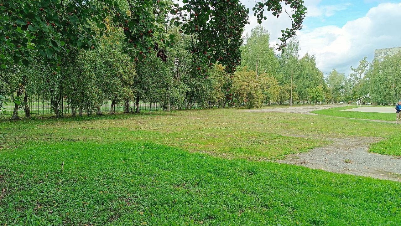 Выполнение работ по устройству спортивной площадки МБОУ "Школа №124" Автозаводский район г. Нижнего Новгорода ул. Строкина, д. 12 А