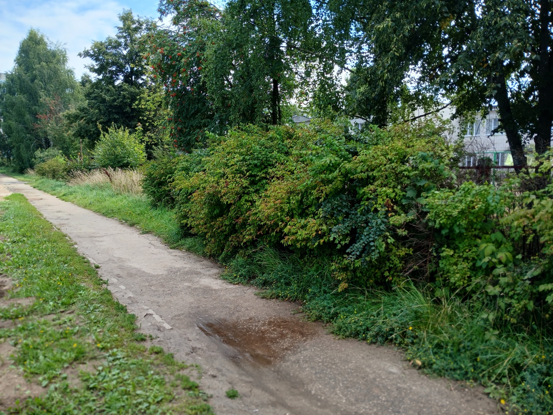 Ремонт тротуара по улице Кирова в г. Лысково