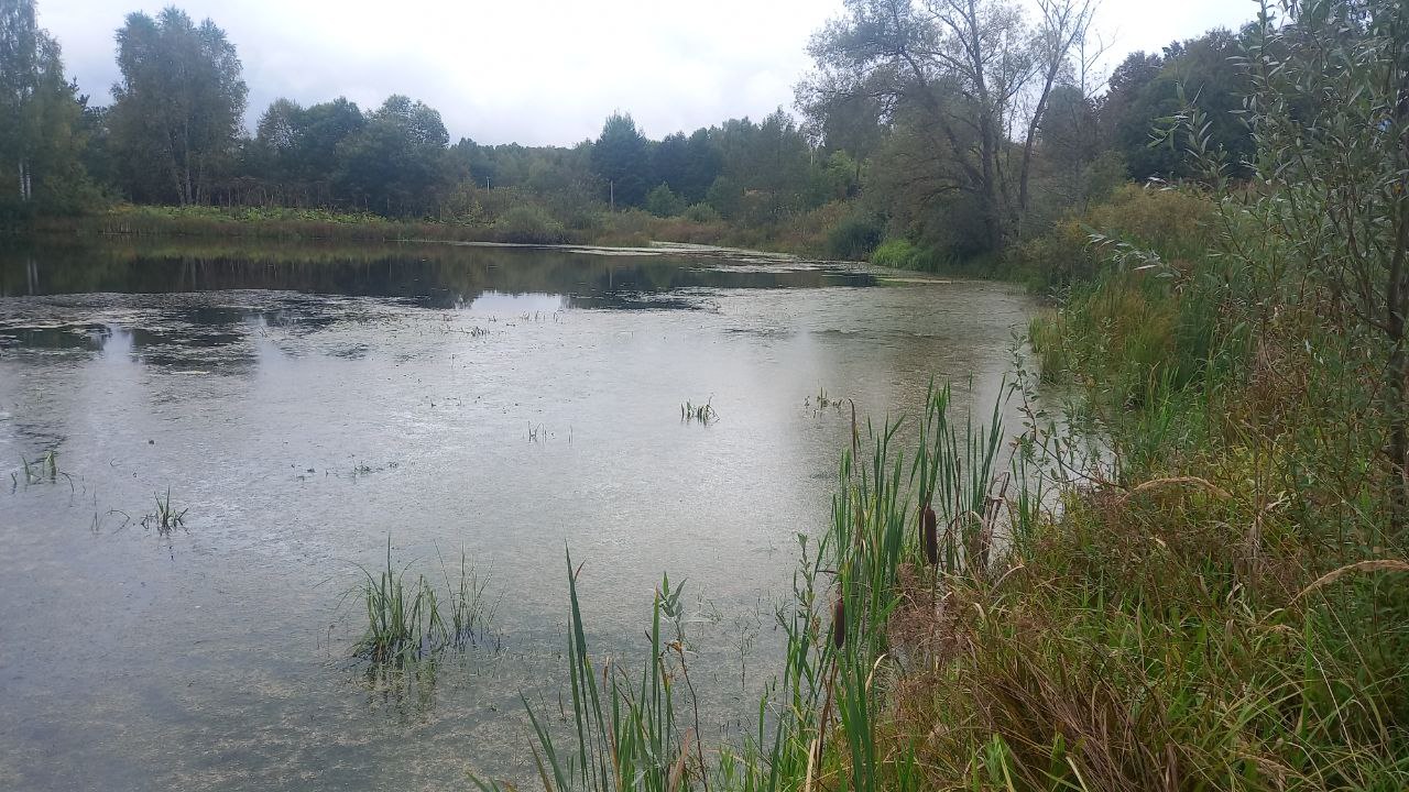 Очистка противопожарного водоема от ила и травянистой растительности по адресу: Нижегородской область, Сосновский МО, с. Яковское, в 30 метрах на юго-восток от дома №1 по ул. Восточная