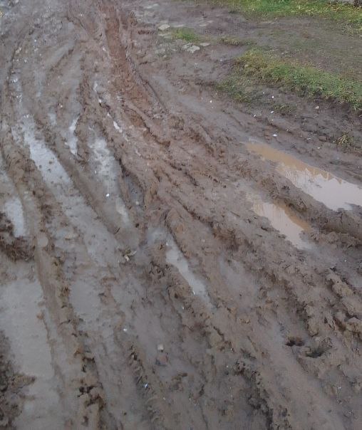 Ремонт автомобильных дорог местного значения в п.Красный Луч, ул.Лесничество, д.Антониха, ул.Молодежная, с.Горки, от площади до д.Поляки на территории Шудского территориального сектора