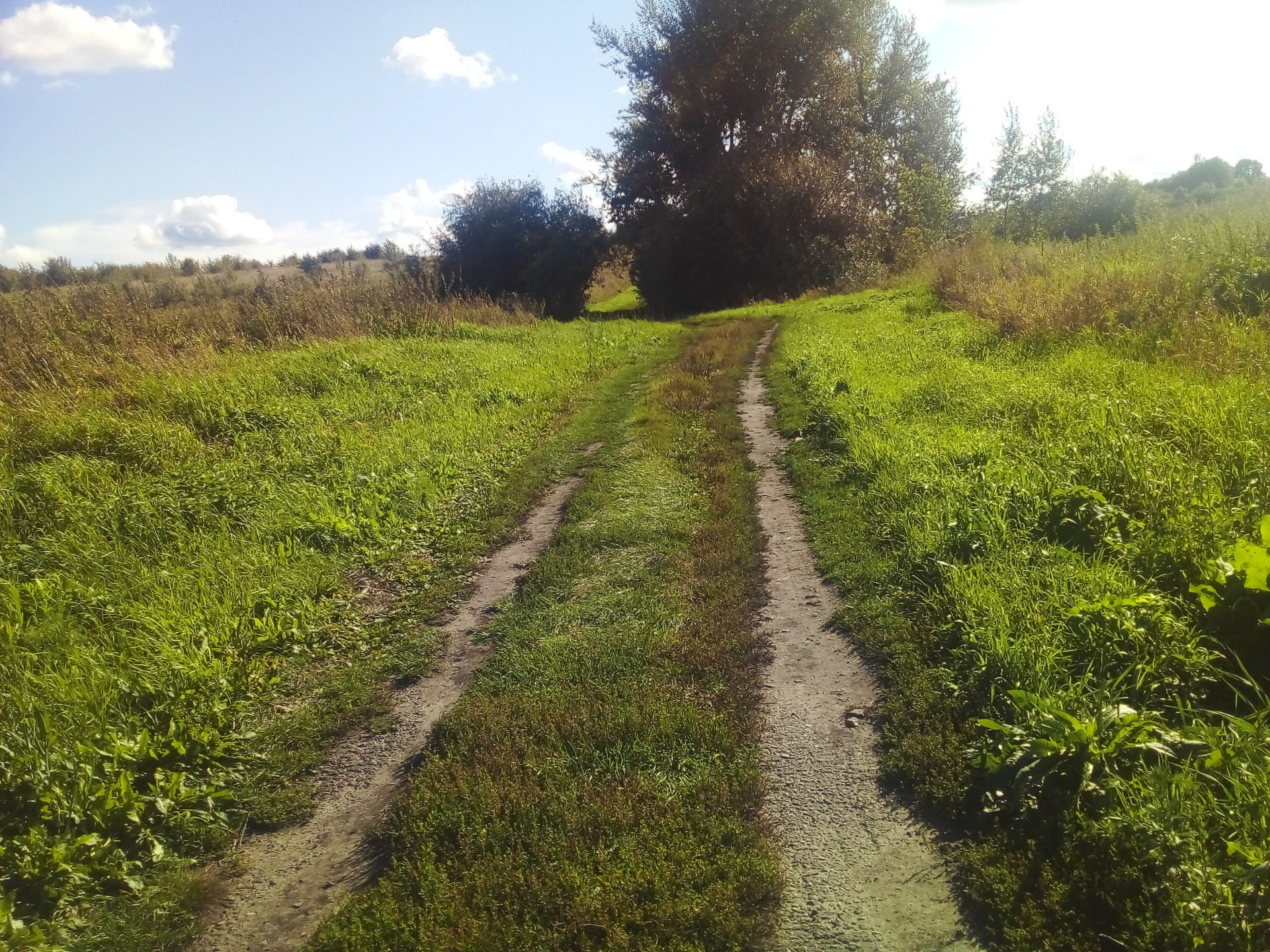Благоустройство территории водоисточника в д. Княжуха Сеченовского муниципального округа Нижегородской области
