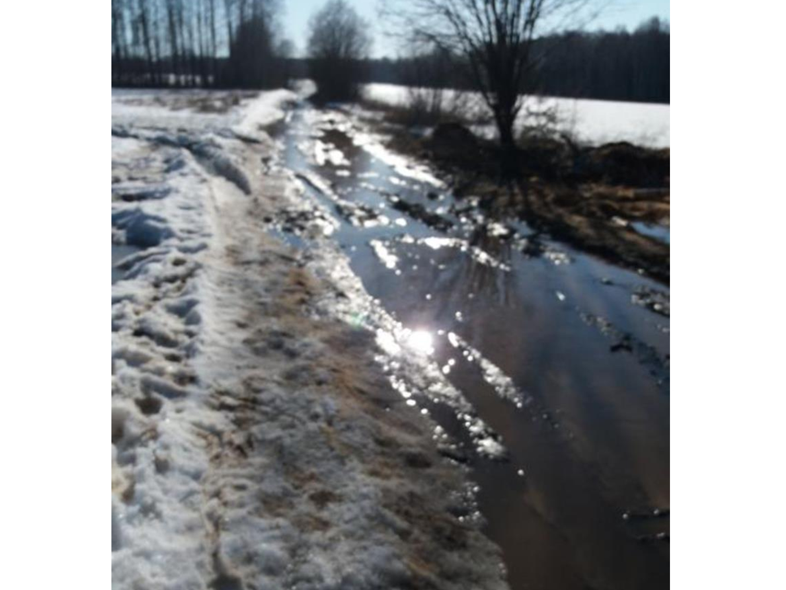 Ремонт дороги д.Лутошкино муниципальный округ город Чкаловск Нижегородской области