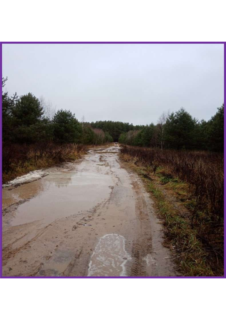 Ремонт дороги до кладбища д.Оньшино Краснобаковского муниципального округа Нижегородской области