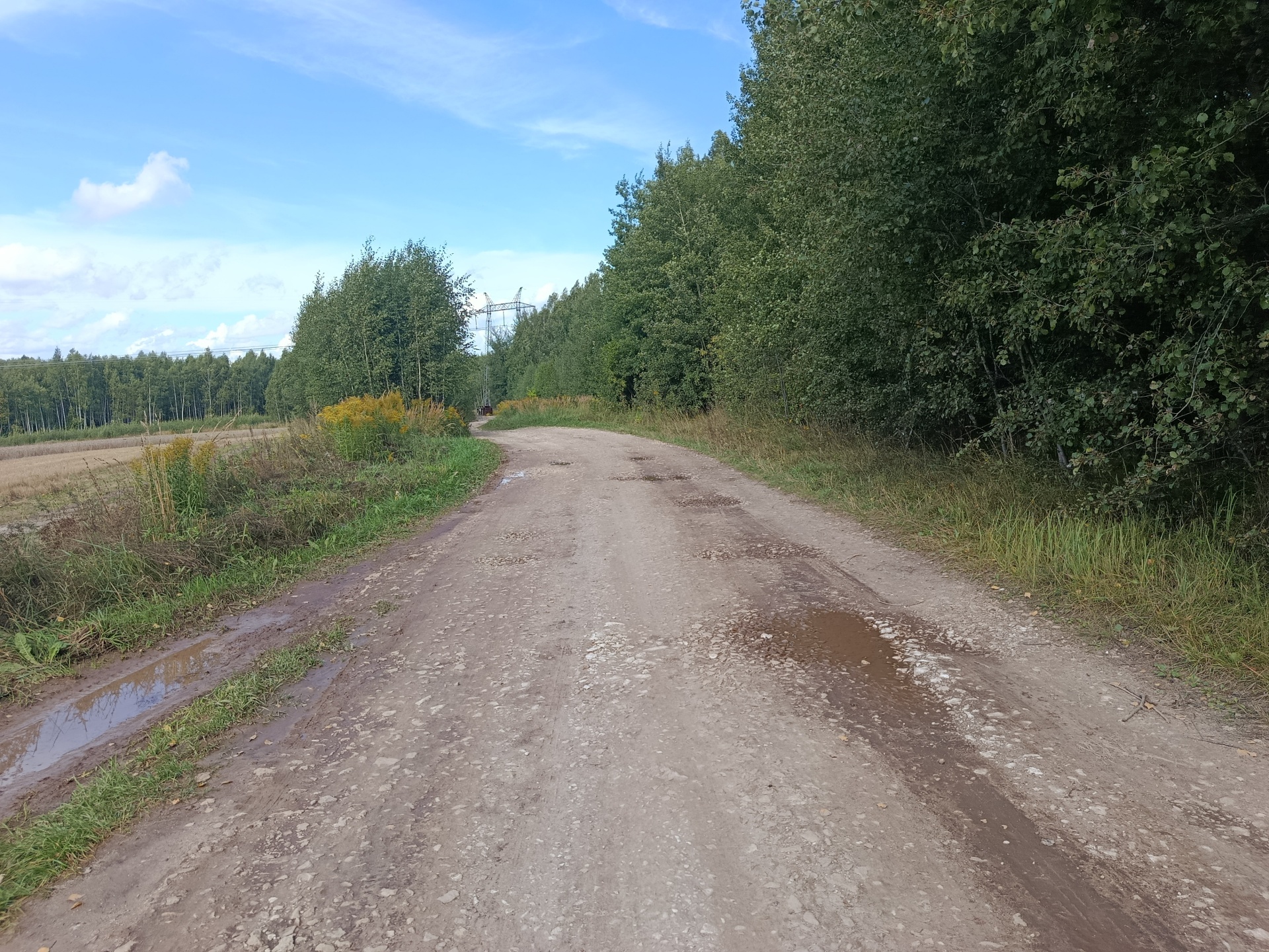 Ремонт участка автомобильной дороги подъезд к д.Охотино от д.Поляны Богородского муниципального округа Нижегородской области