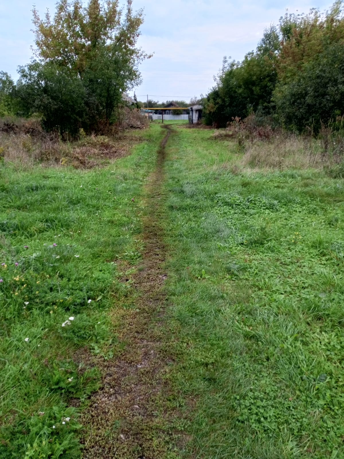 Устройство тротуара в с. Мурзицы, от дома 41 по улице Большая Линия до дома 3 по улице Новая, Сеченовского муниципального округа, Нижегородской области
