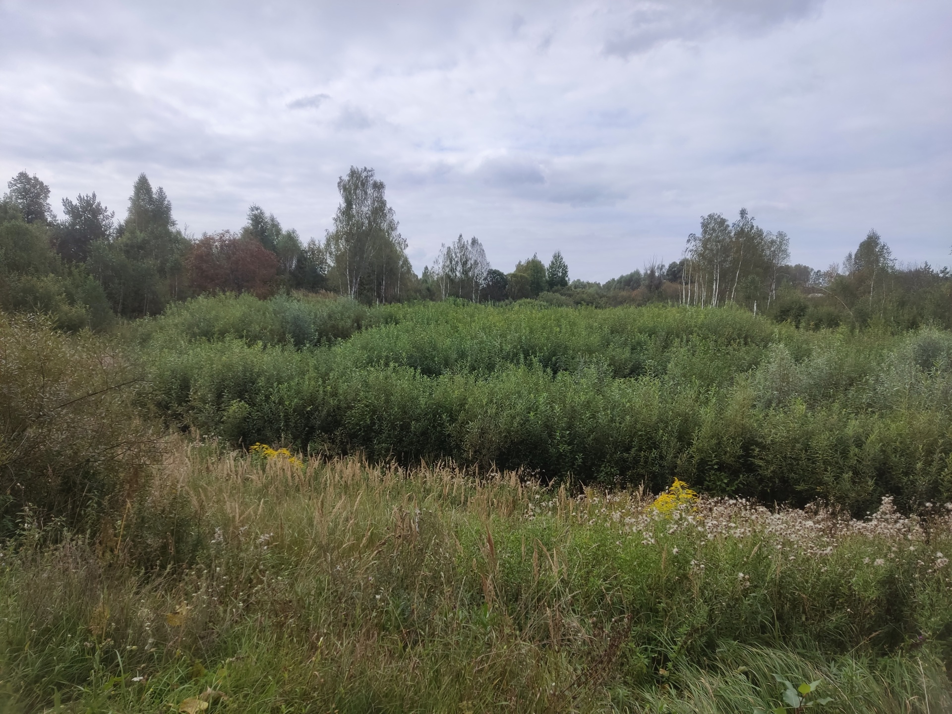 Очистка противопожарного водоема от ила и травянистой растительности по адресу: Нижегородской область, Сосновский МО, с.Николаевка, ул.Мира