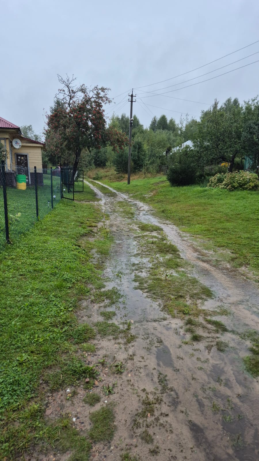 Ремонт дороги в деревне Шалимово Ковернинского муниципального округа от остановочного пункта "Шалимово" (в районе дома №2) до дома №8