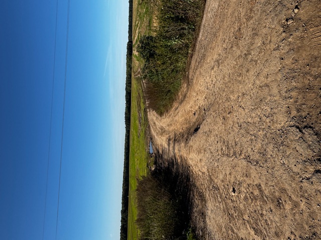 Ремонт автомобильной дороги до лесопарка Суровьев лес в с.п.Дубрава