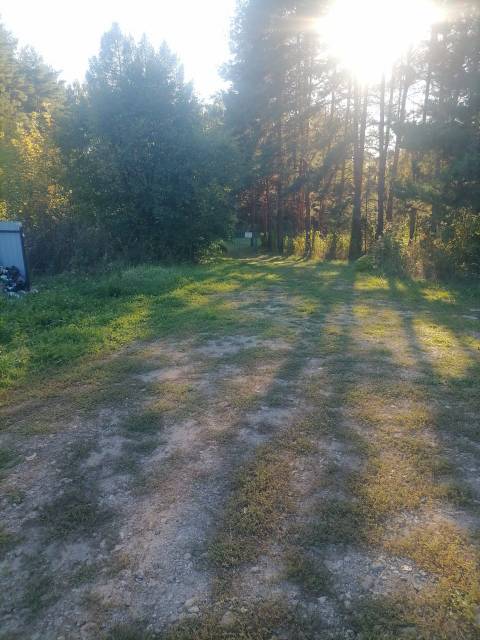 Ремонт автомобильной дороги местного значения 22-210-828 ОП МП 057 км 0+000 км 1+580 от кладбища до д. № 46 по ул. Пришкольная в с. Кишкино Большемурашкинского муниципального округа Нижегородской области