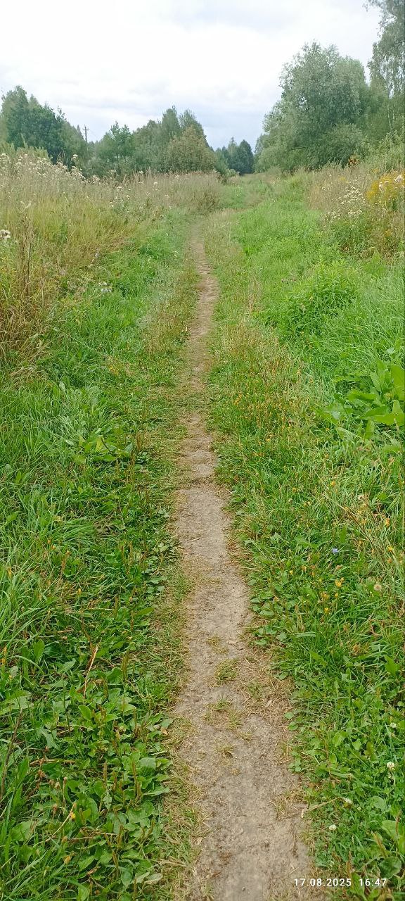 Ремонт участка автомобильной дороги  по адресу:д.Ягодное ул.Ягодинская, участ.№2 Богородского муниципального округа Нижегородской области