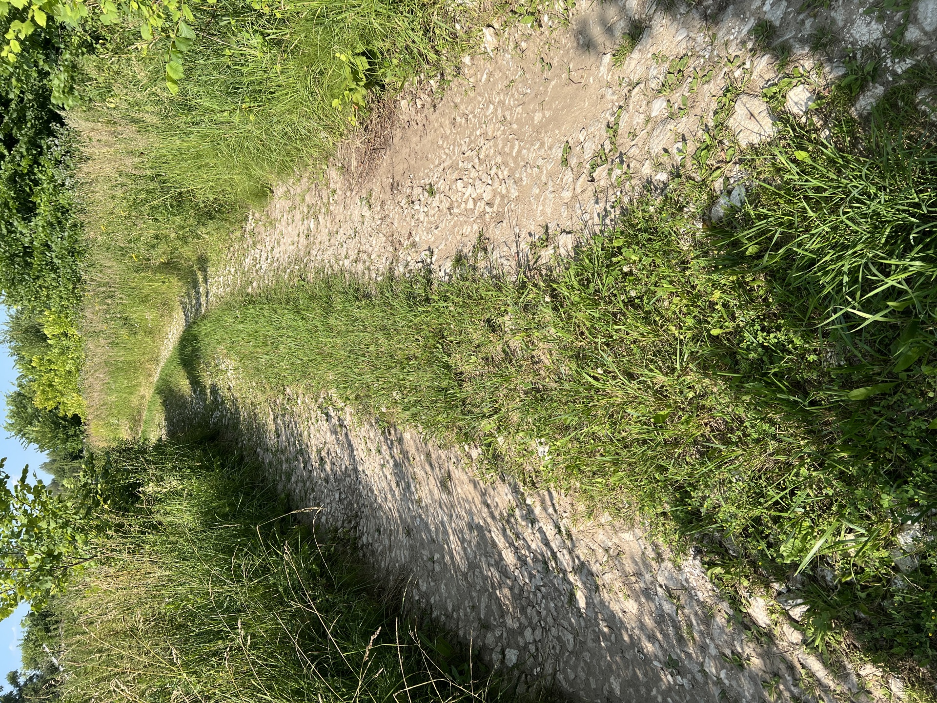 Ремонт автомобильной дороги в д.Теряево Богородского муниципального округа Нижегородской области по ул.Полевая, с устройством щебеночного покрытия