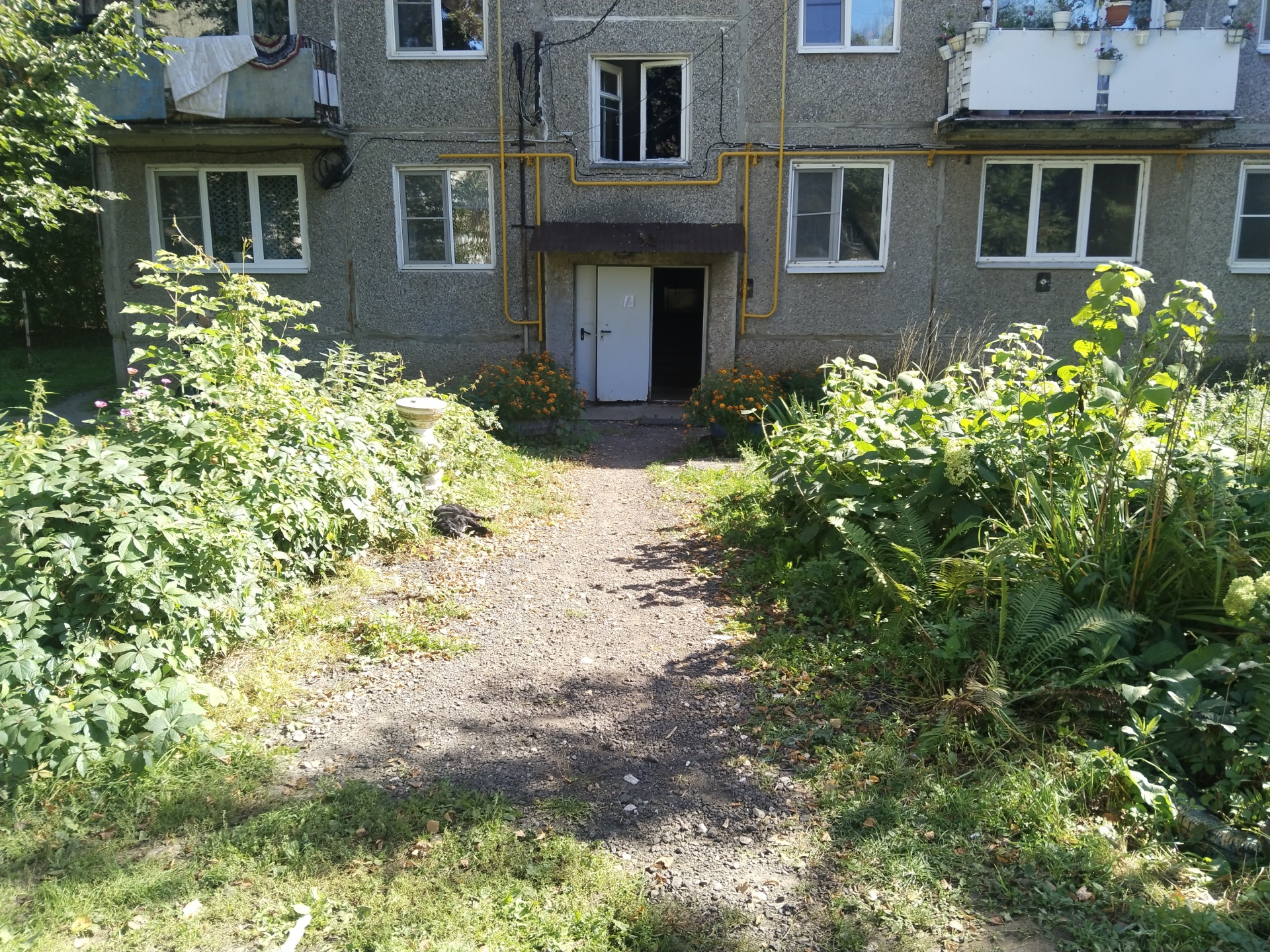 Ремонт асфальто-бетонного покрытия около многоквартирных домов №№ 1-7 по ул.Юбилейная и №18 по ул. Школьная д. Ясенцы Павловского МО