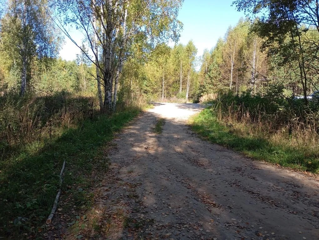 Ремонт дорожного покрытия подъезда к д.Голосово от трассы Коровино-Бурмакино муниципального округа Сокольский Нижегородской области