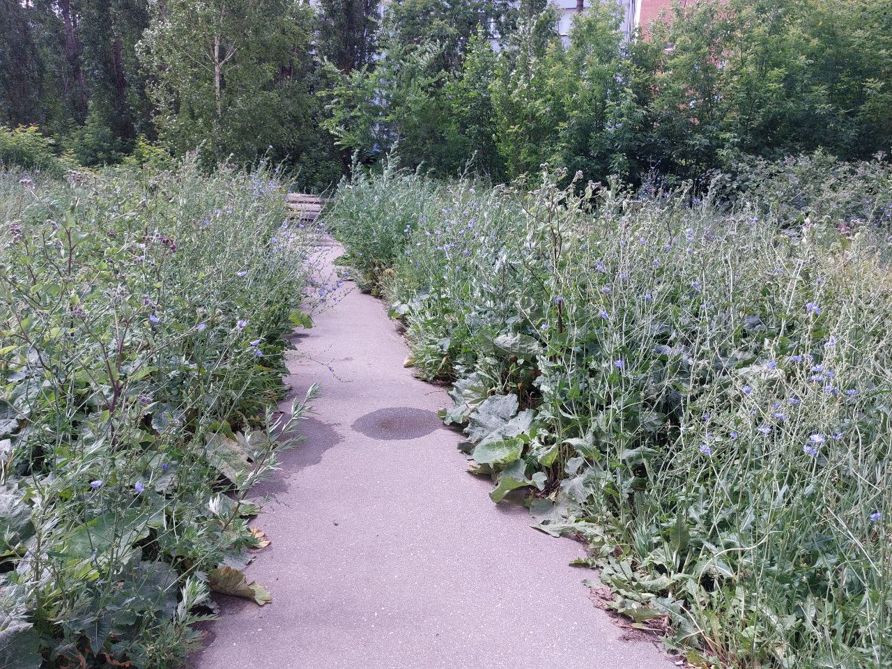 Выполнение работ по ремонту объекта «Шоссе Московское от ул.Гордеевской до путепровода у к/т Москва» (устройство парковочных карманов в районе домов №33а и 31а по Московскому шоссе) в Канавинском районе города Нижнего Новгорода