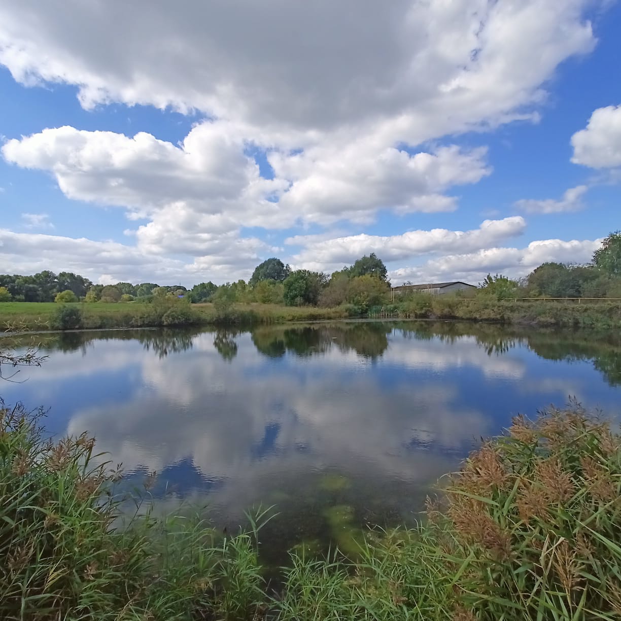Благоустройство зоны отдыха в с. Маресево, пер.Колхозный, Краснооктябрьского муниципального округа Нижегородской области