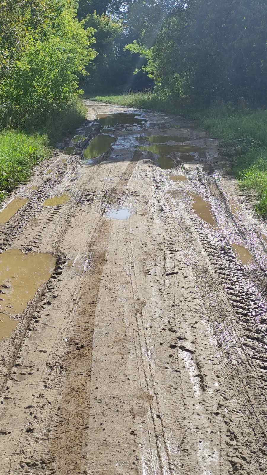 Ремонт дороги общего пользования местного значения по ул.1 Мая в с.Какино Гагинского муниципального округа Нижегородской области