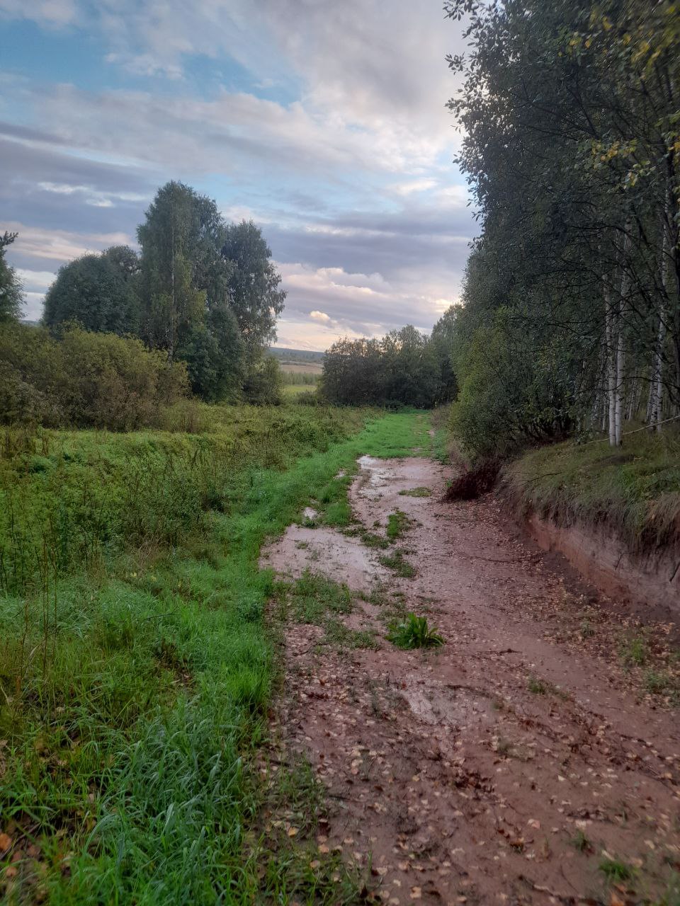 Выполнение работ по освещению лыжной трассы "Красногорская лыжня" д.Красногор м.о.г.Шахунья Нижегородской области