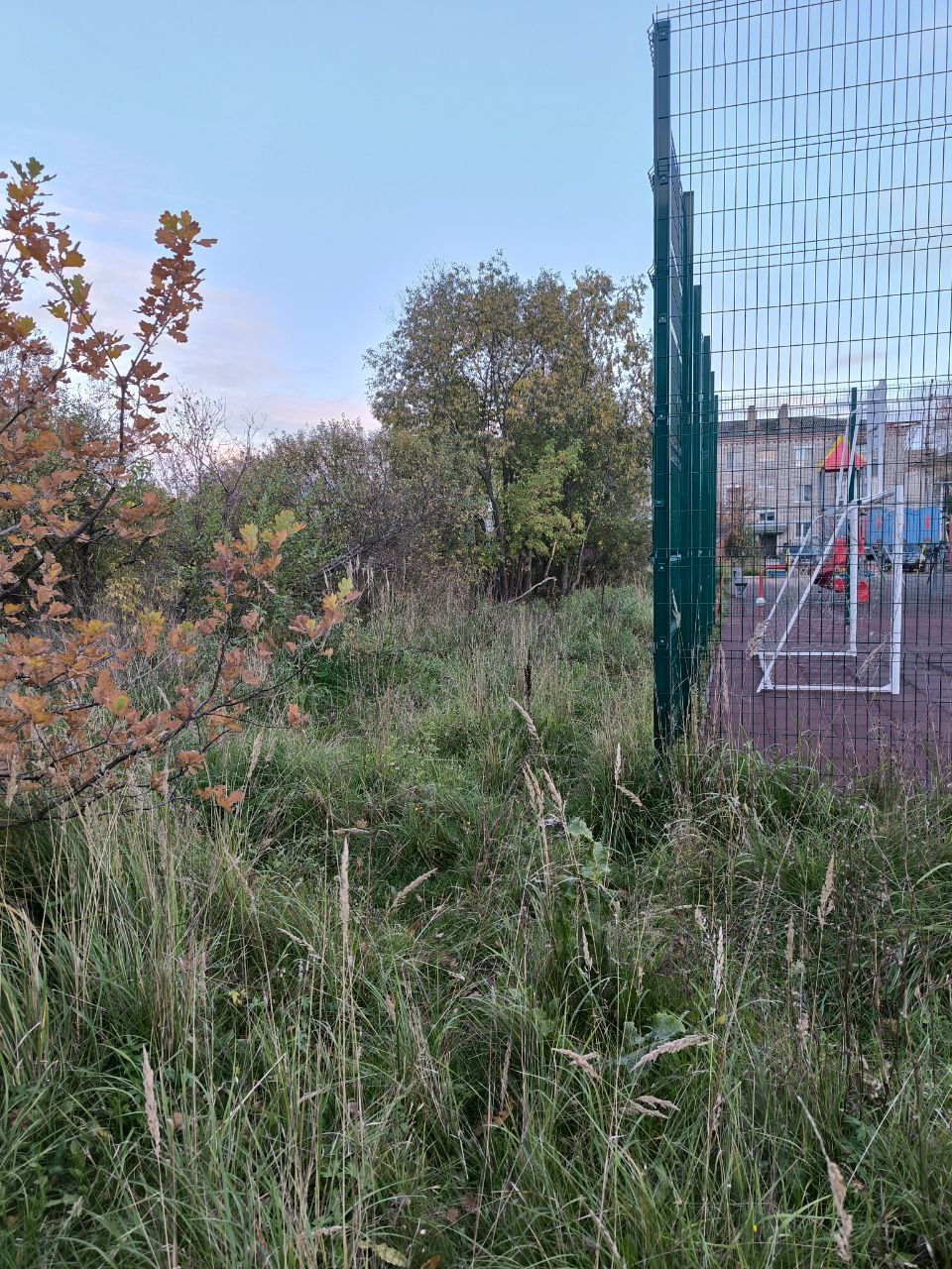 Выполнение работ по обустройству спортивно-игровой площадки по адресу: пер.Заводской д.14 в г.Шахунья Нижегородской области