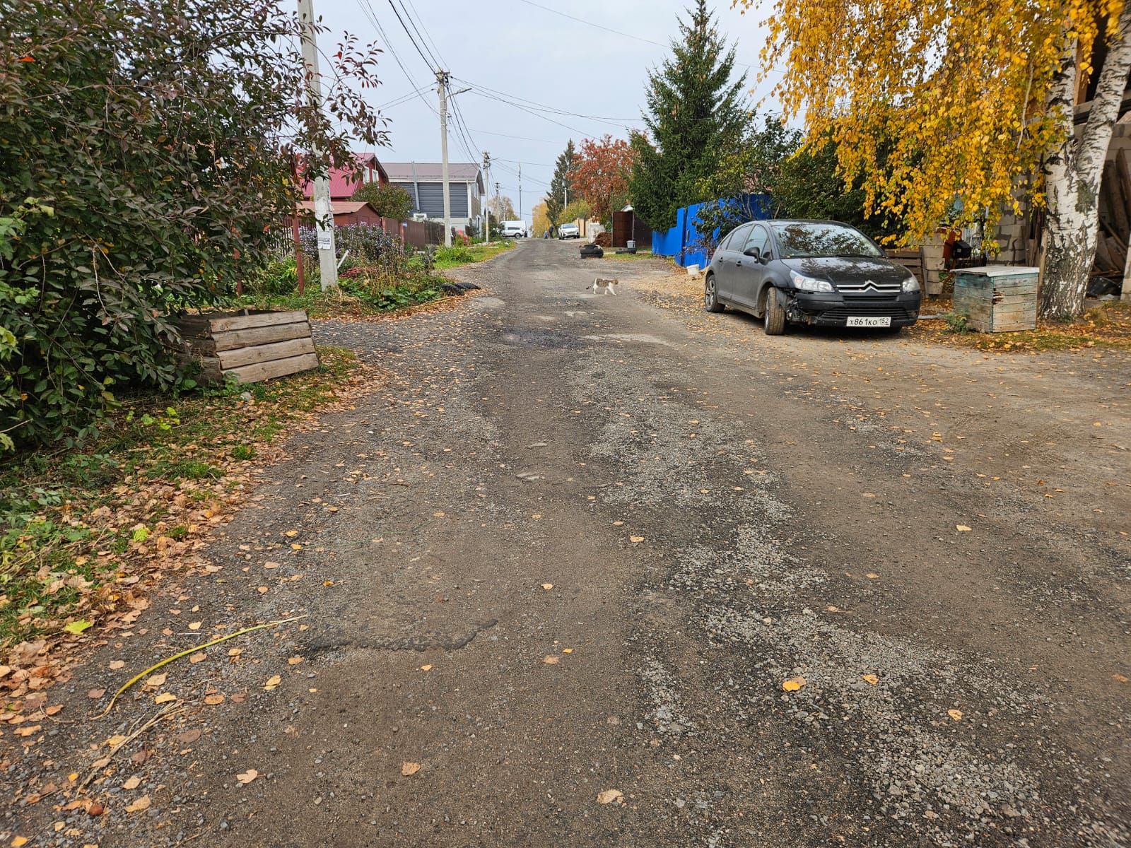 Выполнение работ по ремонту объекта "Дер. Новопокровское" (ремонт дороги по ул. Центральная от д. 113 до д. 135) в Советском районе города Нижнего Новгорода