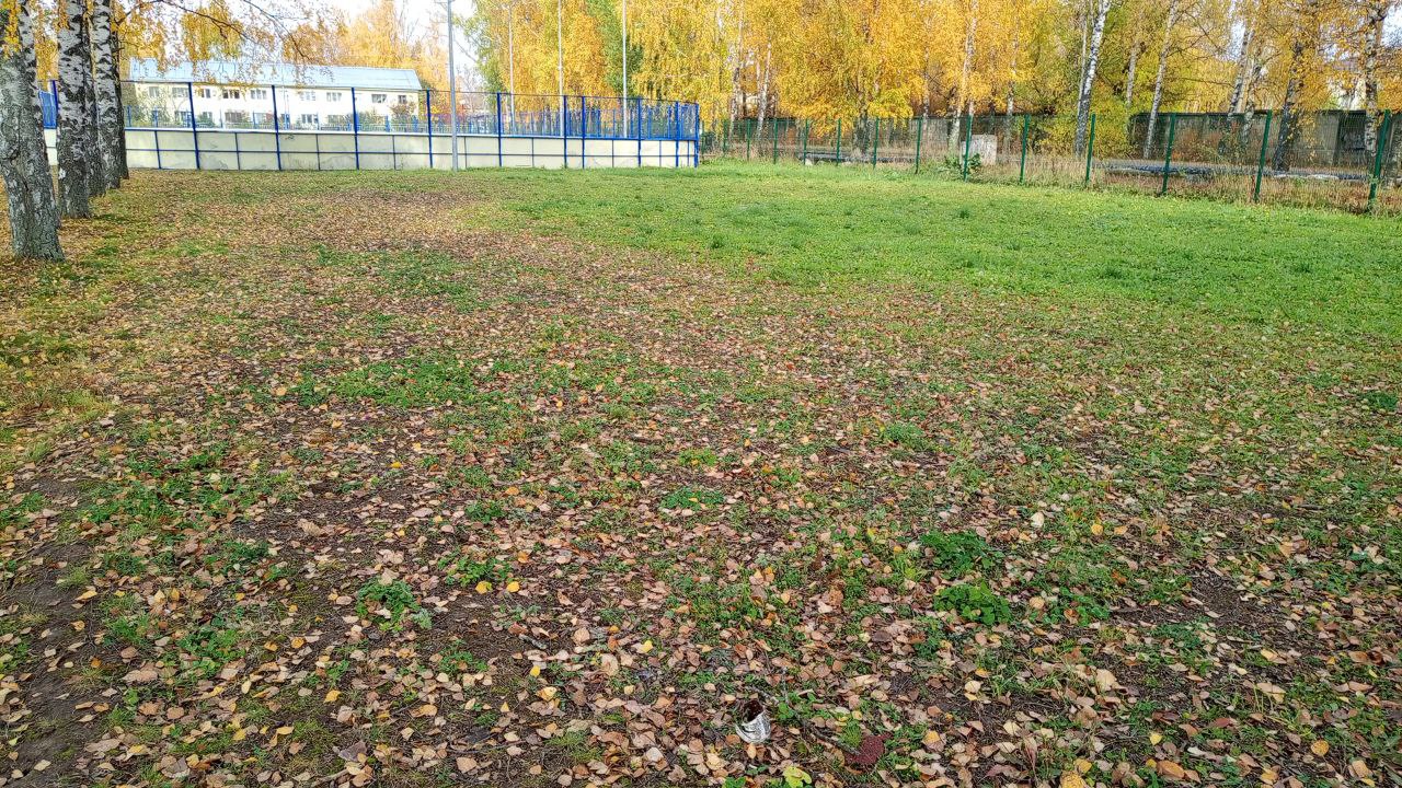 Обустройство мини-футбольного поля на стадионе по ул. Южная с. Дивеево.