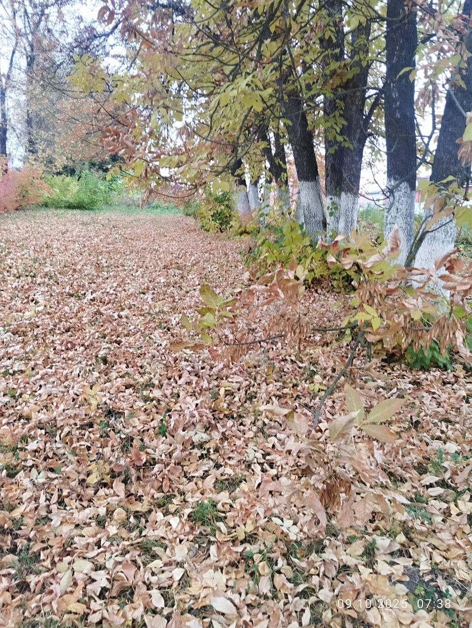 Благоустройство аллеи Славы в р.п. Красные Баки