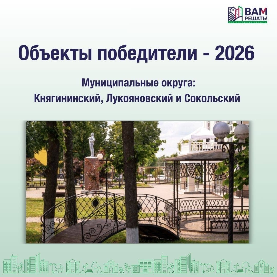 Победители — 2026. Муниципальные округа: Княгининский, Лукояновский, Сокольский.