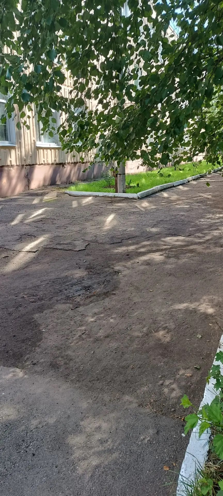 Дорога к знаниям: благоустройство территории МБОУ СШ №13, по адресу: г.Арзамас, ул.Зеленая, д.34