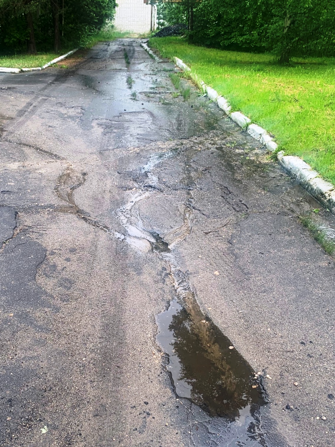 Детский лагерь "Водопрь" - благоустройство территории МБУ ДО ДООЦ "Водопрь", по адресу: г.о.г.Арзамас, с.Пологовка