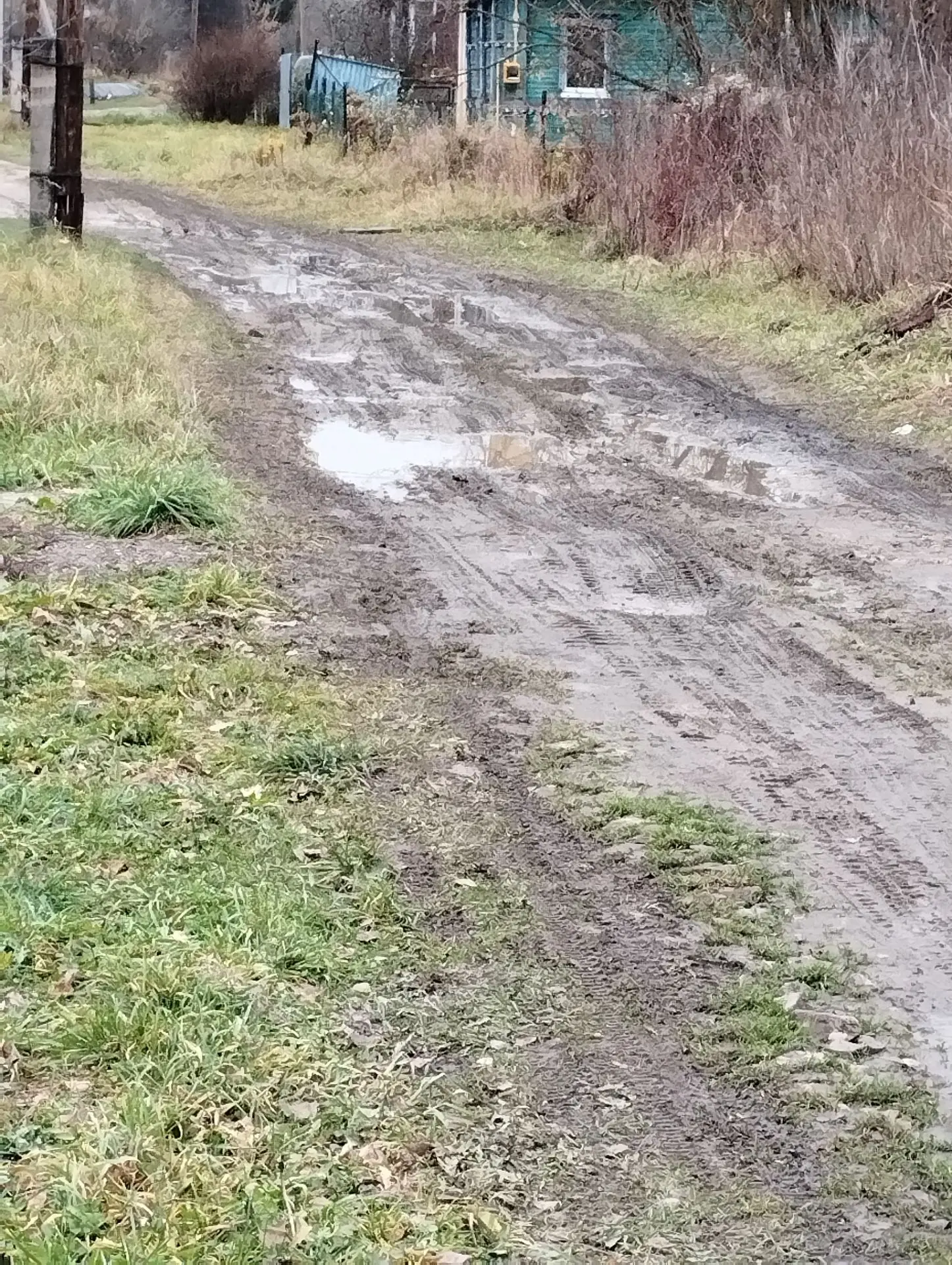 Ремонт дороги в д.Васильково ул.Центральная от д.1 до д.50 Кантауровского с/с муниципального округа г.Бор Нижегородской области