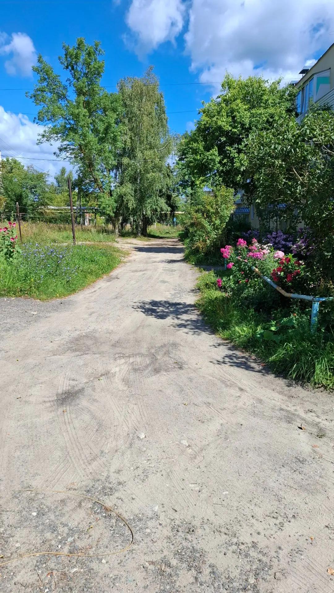 «Ремонт асфальтобетонного покрытия в с. Линда, ул. Школьная муниципального округа город Бор Нижегородской области»
