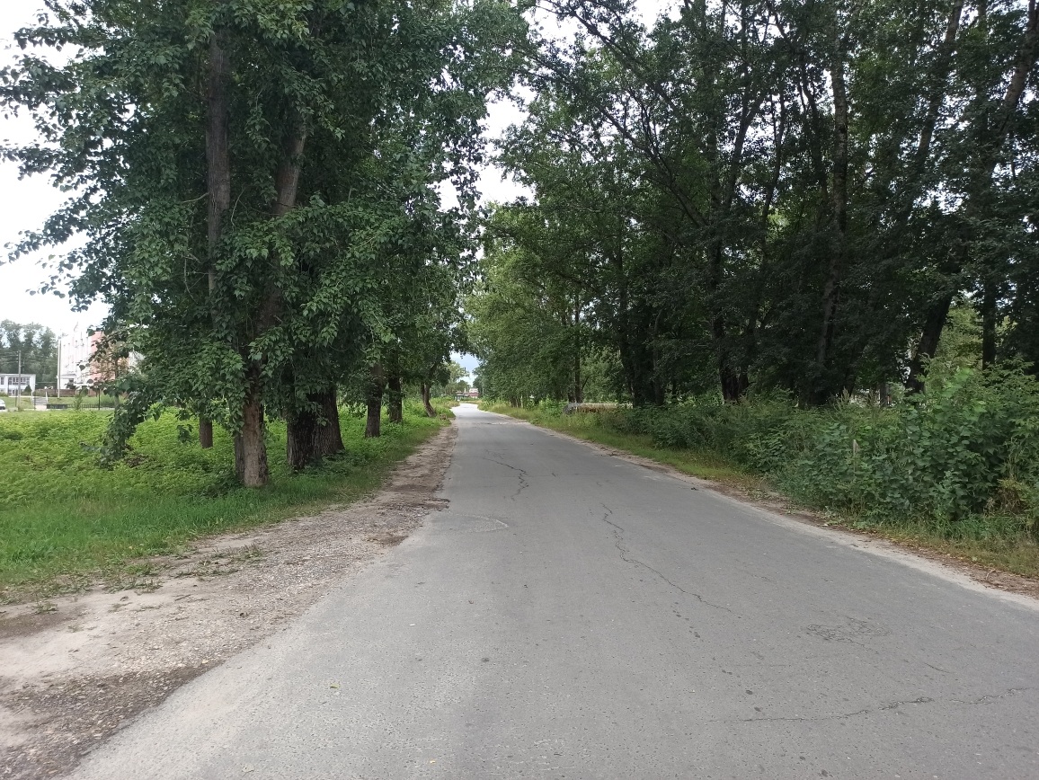 Благоустройство территории общего пользования от ул. Бутова до здания Кулебакского городского суда (площадь Ленина, дом 4) в г. Кулебаки Нижегородской области